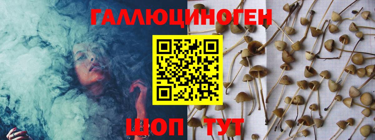 Псилоцибиновые грибы ЛСД Ачхой-Мартан