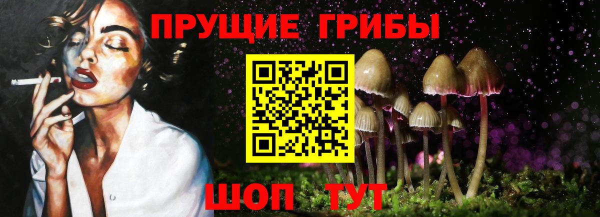 Псилоцибиновые грибы Psilocybe  Вход с VPN  Ачхой-Мартан  Галлюциногенные грибы мухоморы 